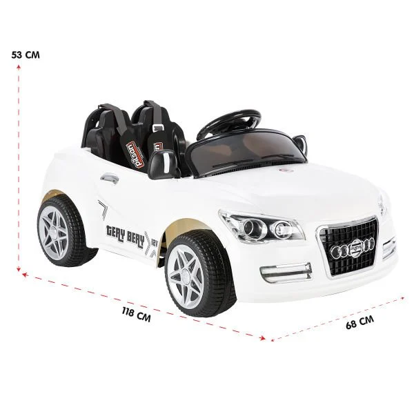 Tery Bery 12V Remote Control Battery Car